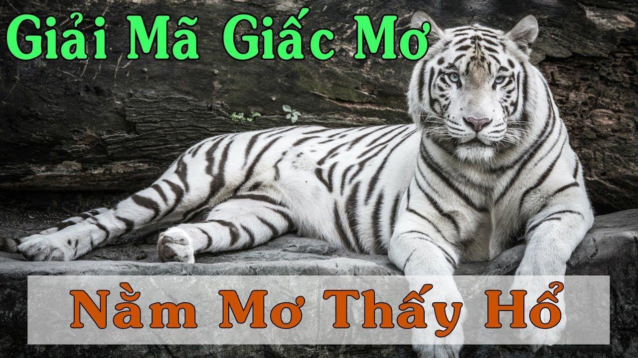 f8 bet casino Sòng bạc