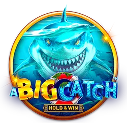 sh bet casino LINK MỚI